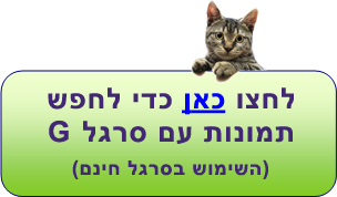 חיפוש תמונות בקלות ובמהירות